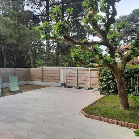 Ferienhaus Confortable A : Plage, Commerces Et Piste Cyclable A Proximite Seignosse
